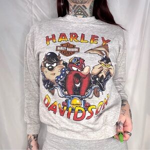 Vintage 1994 Harley Davidson x looney tunes Gray Graphic Sweatshirt